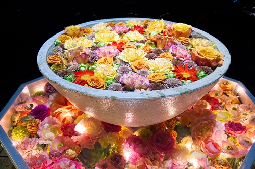 花の状況 | パーク便り | あしかがフラワーパーク